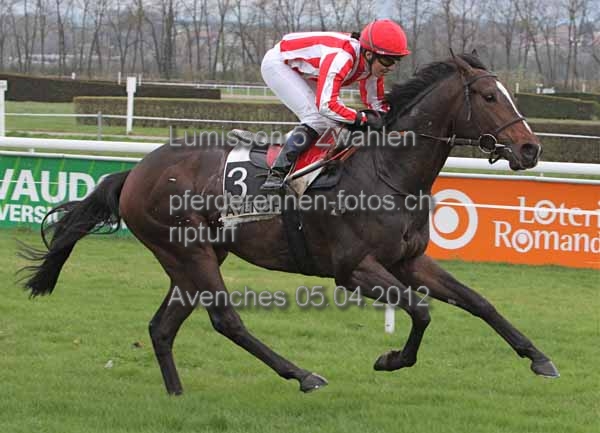 Lumisson 5 Zwahlen  prot